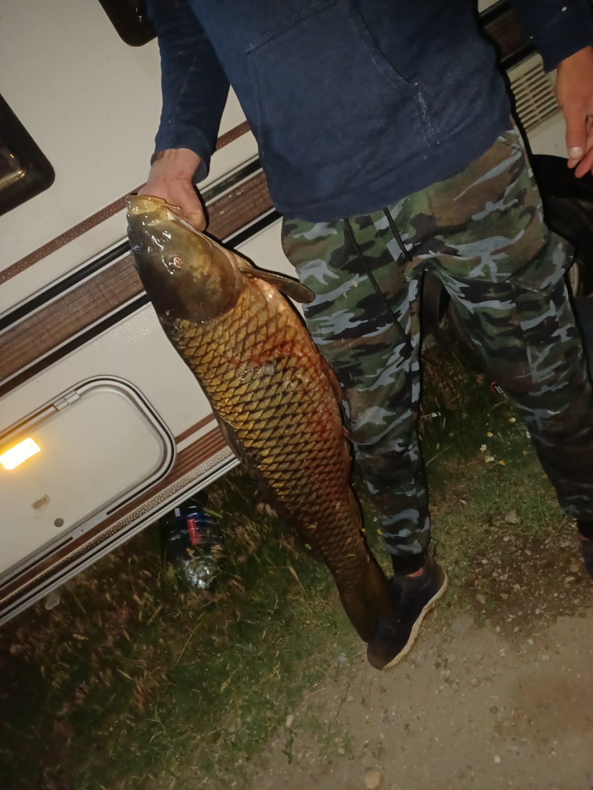 Captură de noapte — Balta Scărișoara